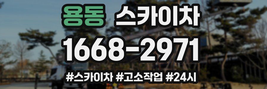 용동 스카이차