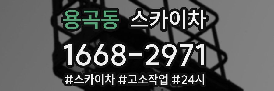 용곡동 스카이차