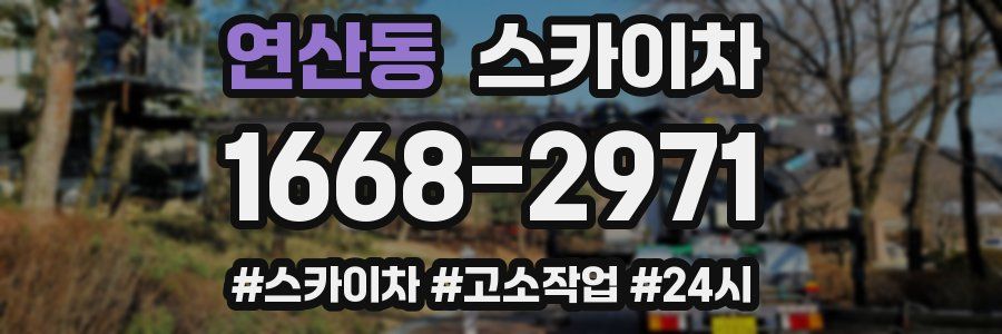연산동 스카이차