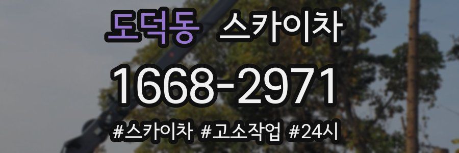 도덕동 스카이차