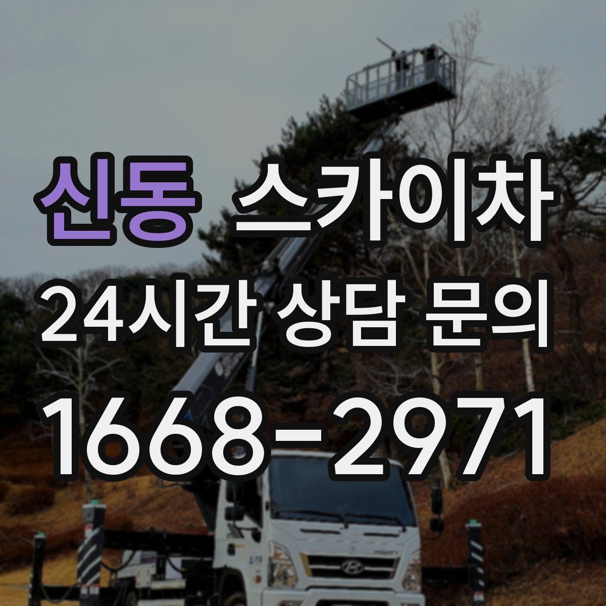 신동 스카이차