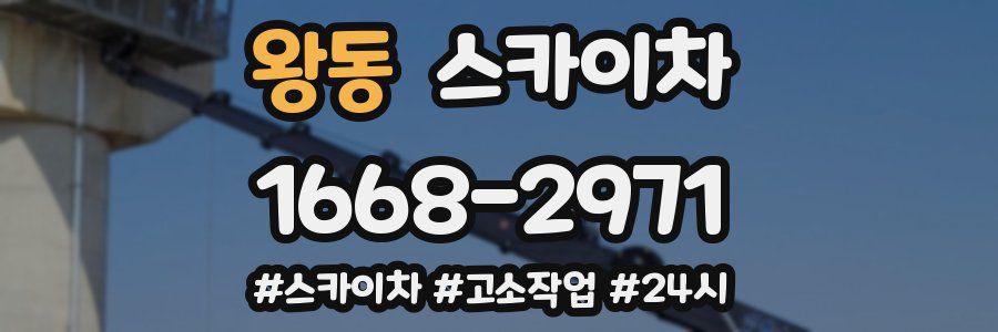 왕동 스카이차