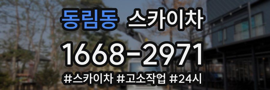 동림동 스카이차