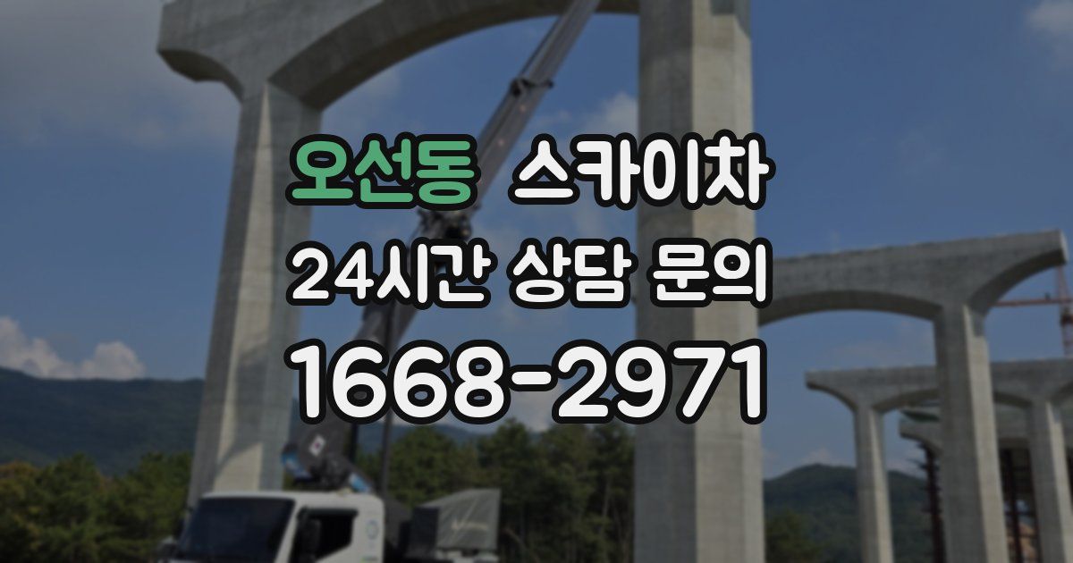 오선동 스카이차