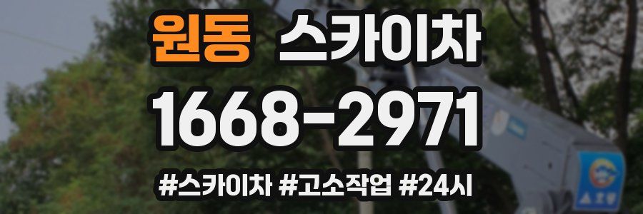 원동 스카이차