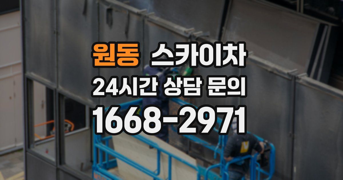 원동 스카이차
