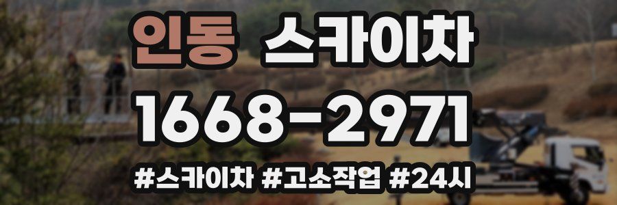 인동 스카이차