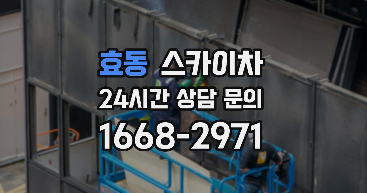 효동 스카이차