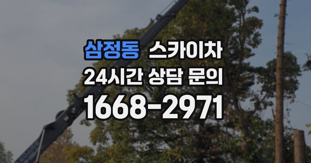 삼정동 스카이차