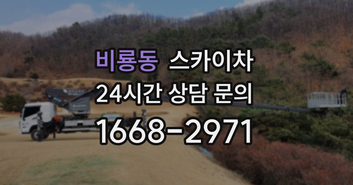 비룡동 스카이차