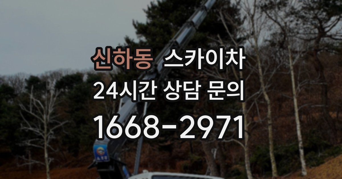 신하동 스카이차