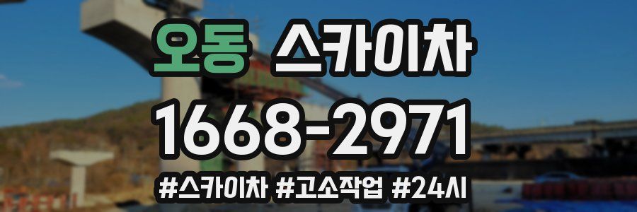 오동 스카이차