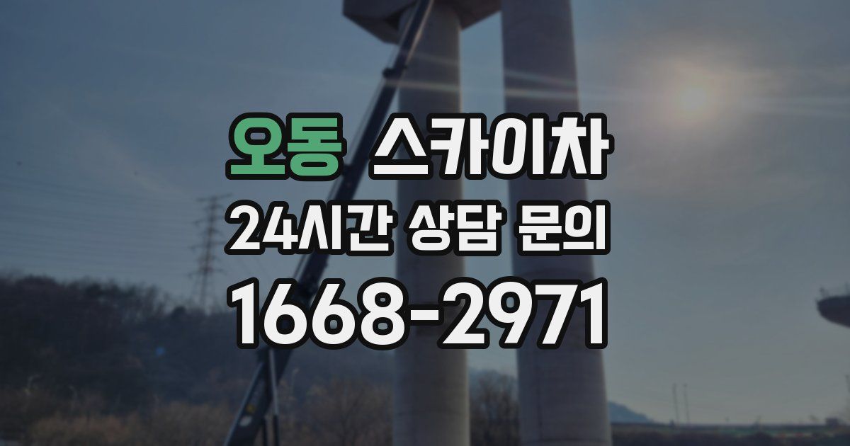오동 스카이차