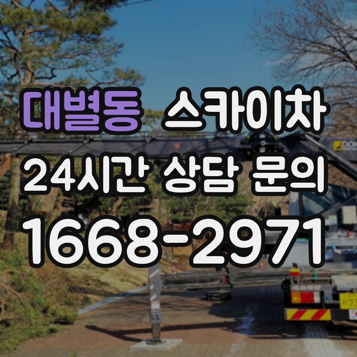 대별동 스카이차