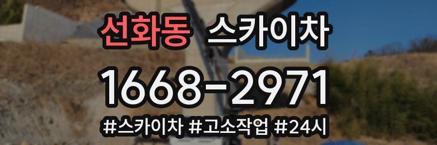 선화동 스카이차