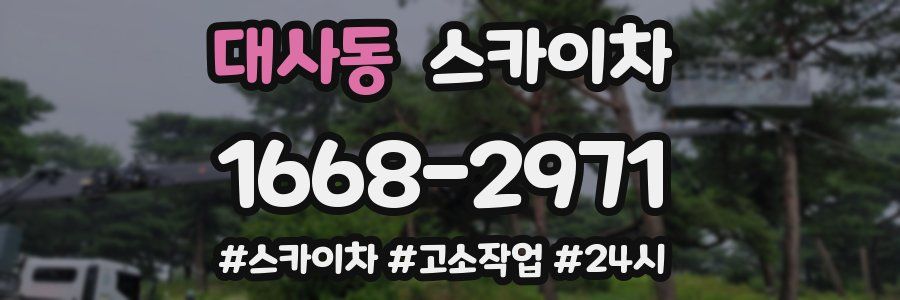 대사동 스카이차