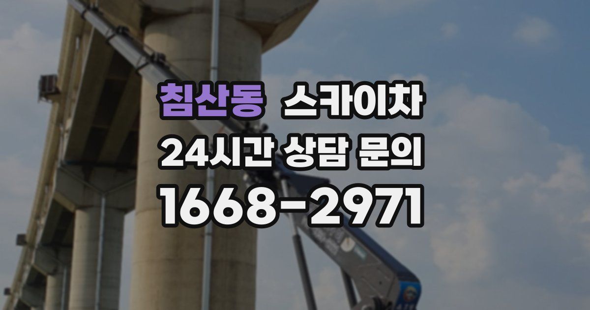 침산동 스카이차