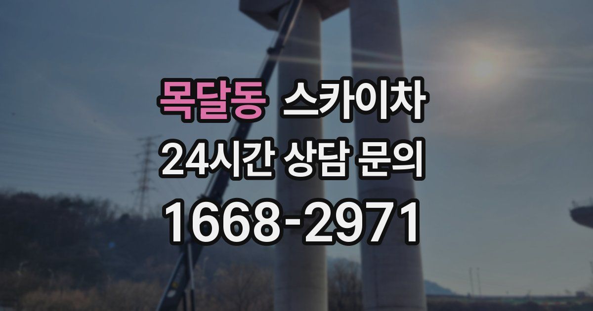 목달동 스카이차