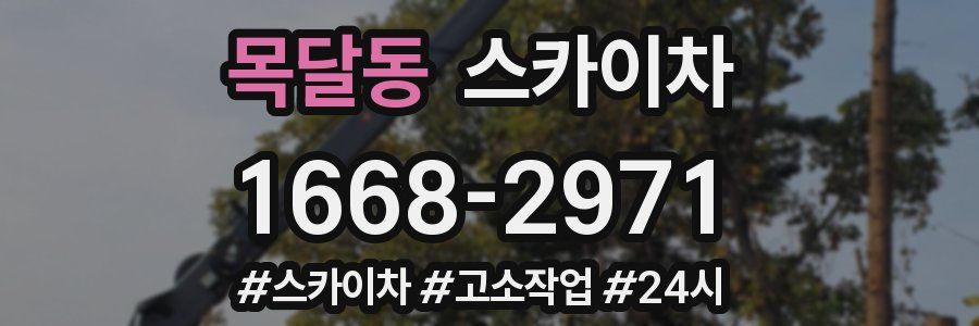 목달동 스카이차
