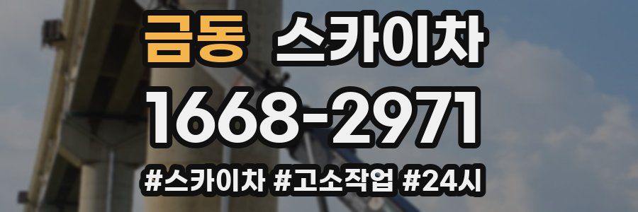 금동 스카이차