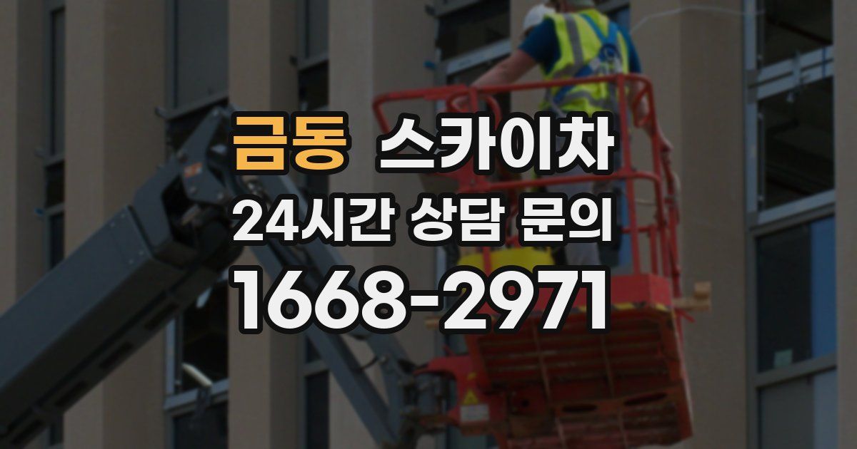 금동 스카이차