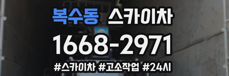 복수동 스카이차