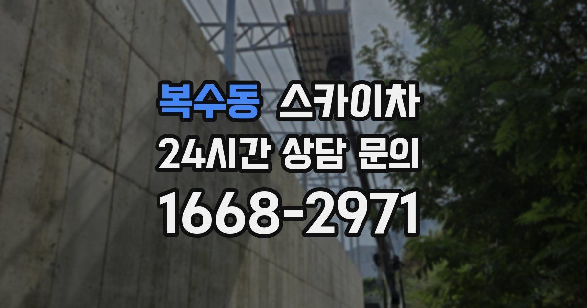 복수동 스카이차