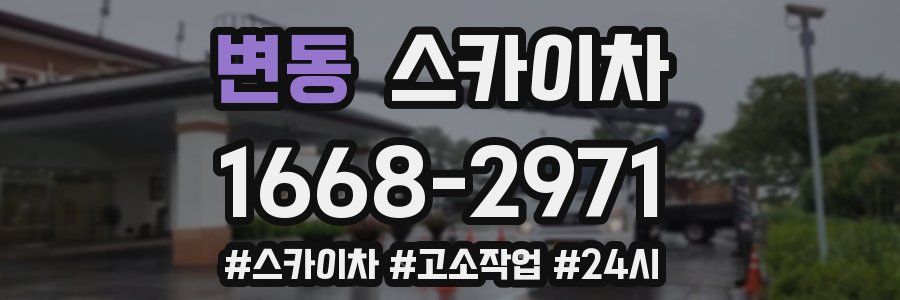 변동 스카이차
