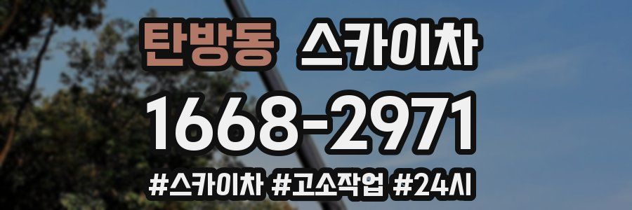 탄방동 스카이차