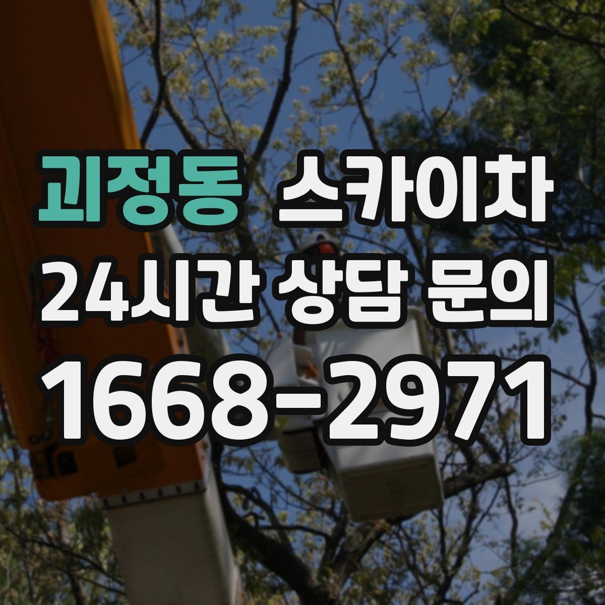 괴정동 스카이차 작업 비용이 달라지는 요소 쉽게 정리