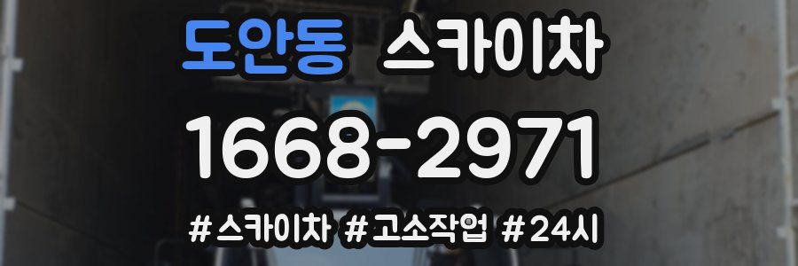 도안동 스카이차