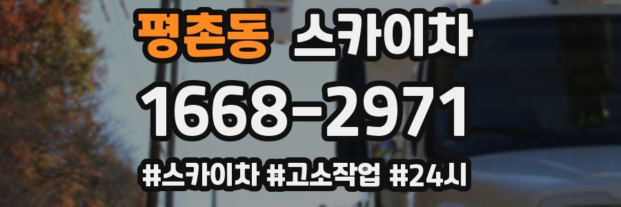 평촌동 스카이차