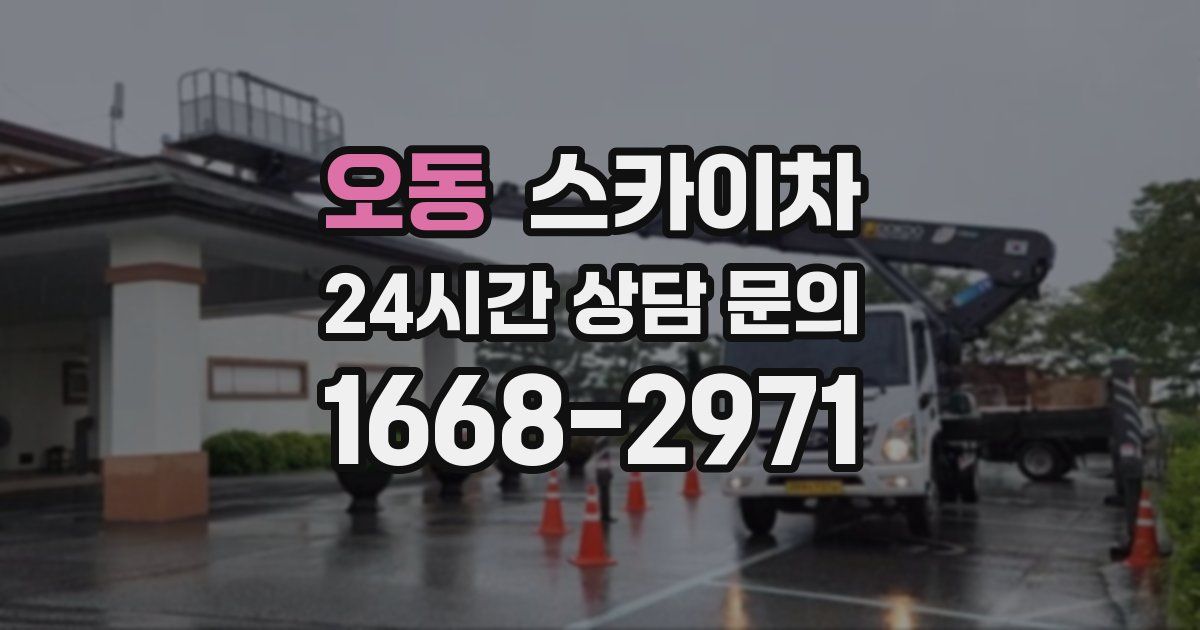 오동 스카이차