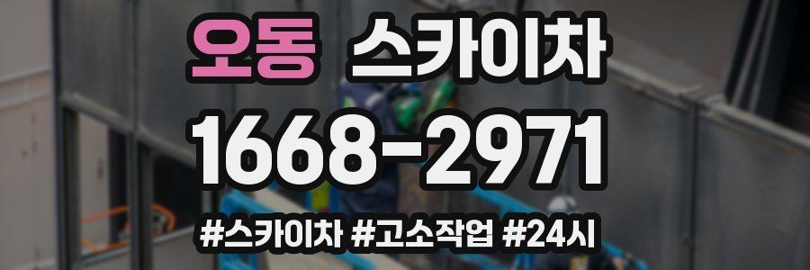 오동 스카이차