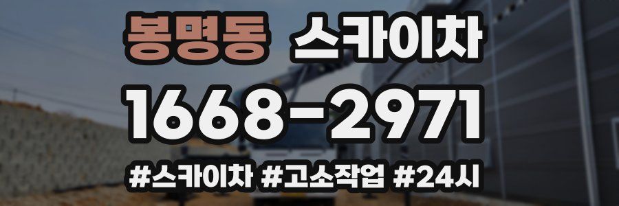 봉명동 스카이차