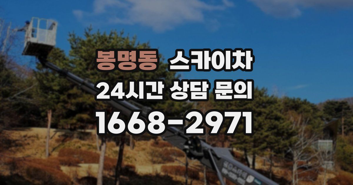 봉명동 스카이차