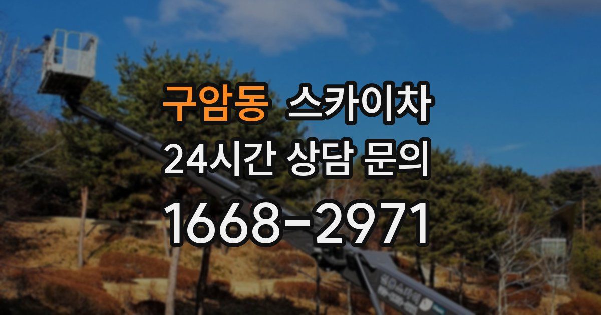 구암동 스카이차