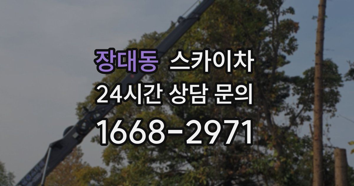 장대동 스카이차