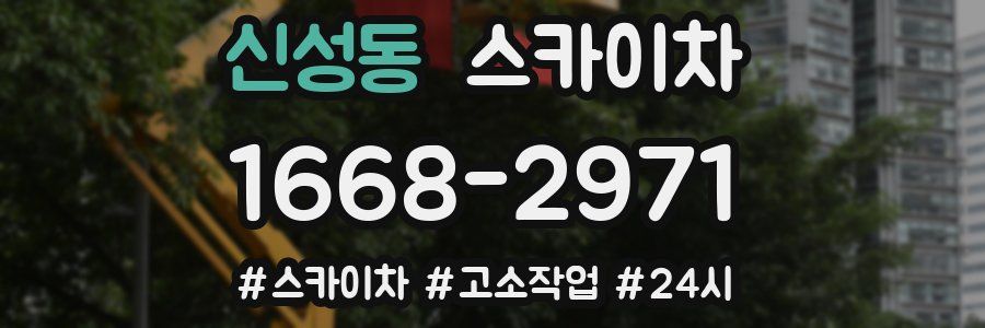 신성동 스카이차