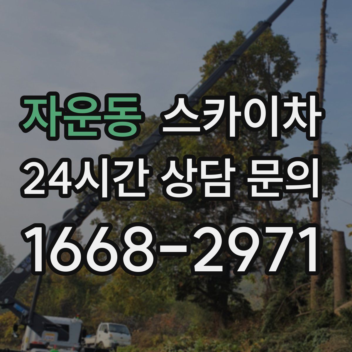 자운동 스카이차