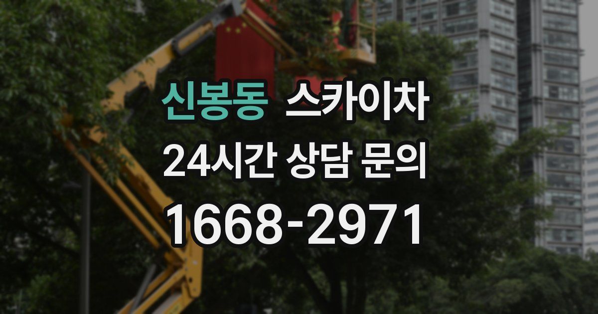 신봉동 스카이차