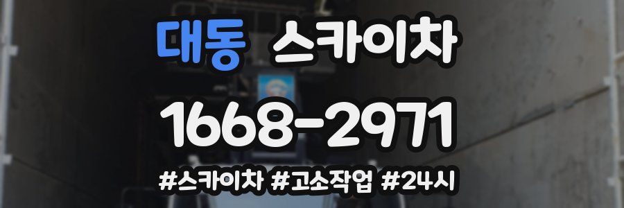 대동 스카이차