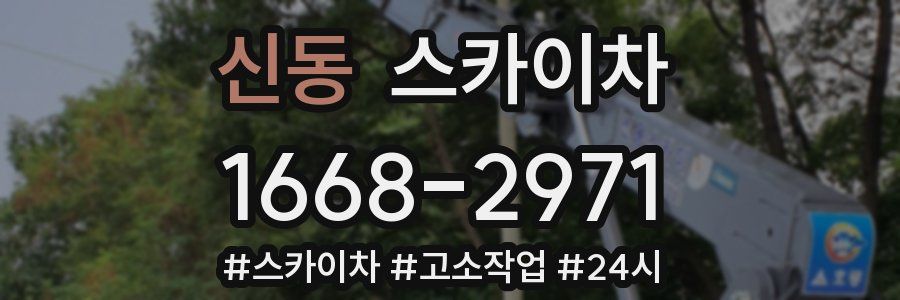 신동 스카이차