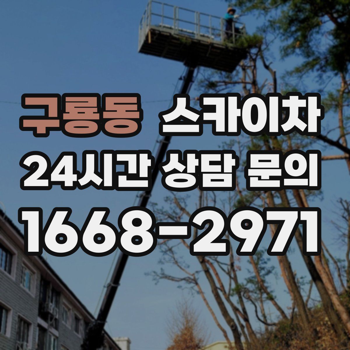 구룡동 스카이차