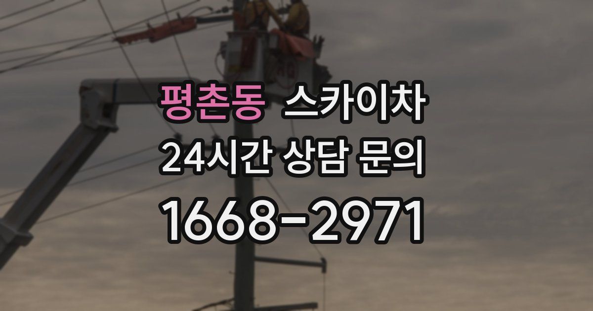 평촌동 스카이차