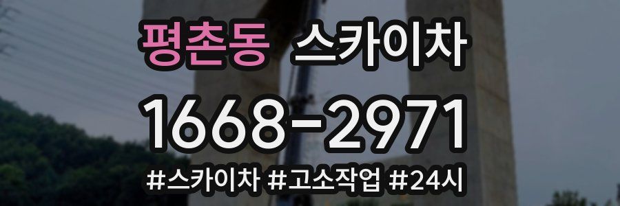 평촌동 스카이차
