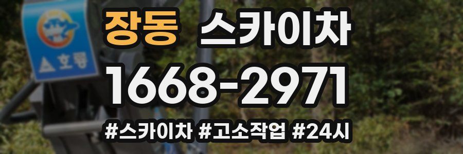 장동 스카이차