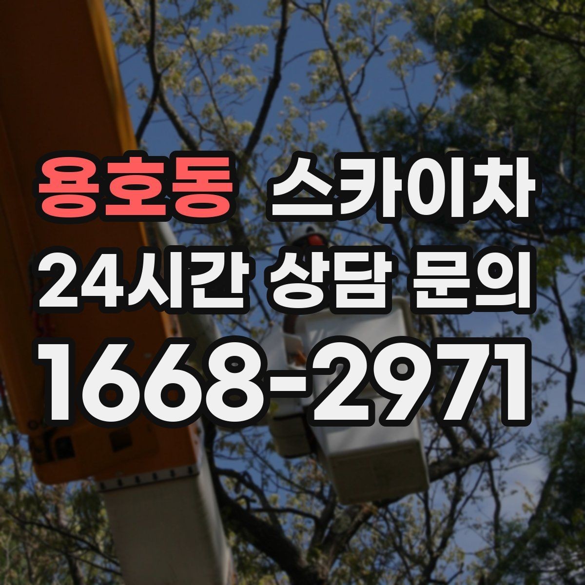 용호동 스카이차 단기 작업과 장기 작업 진행 방식 차이
