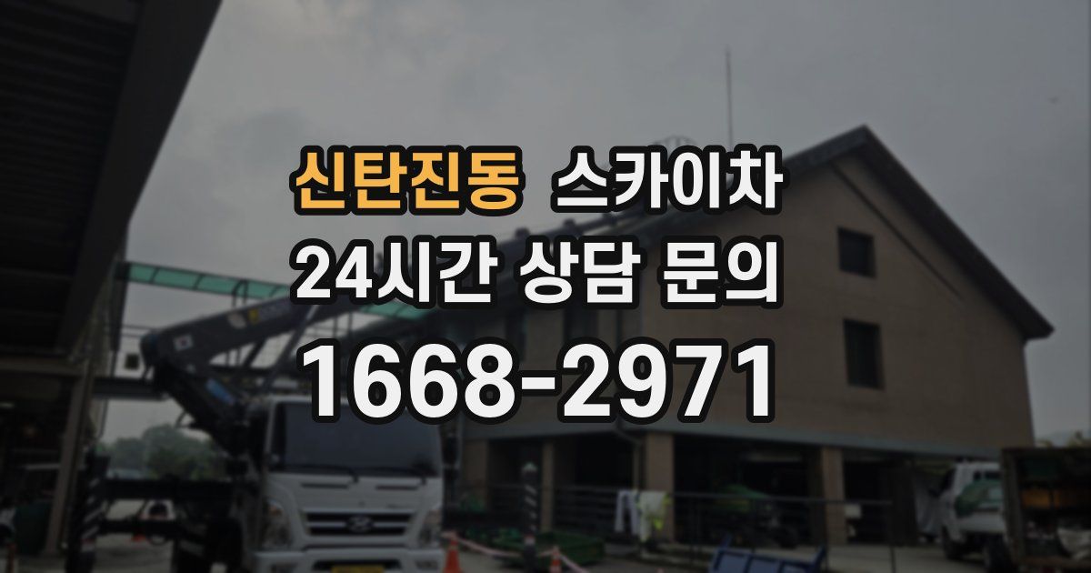 신탄진동 스카이차