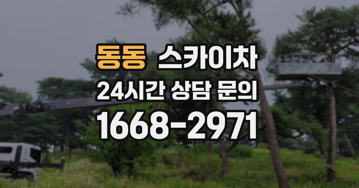 동동 스카이차